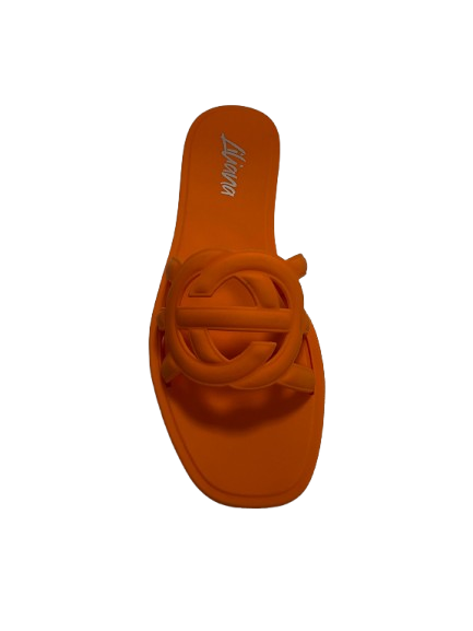 Jelly Sandal – Transparent Strap, Chic Design